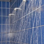 Cursus Legionella